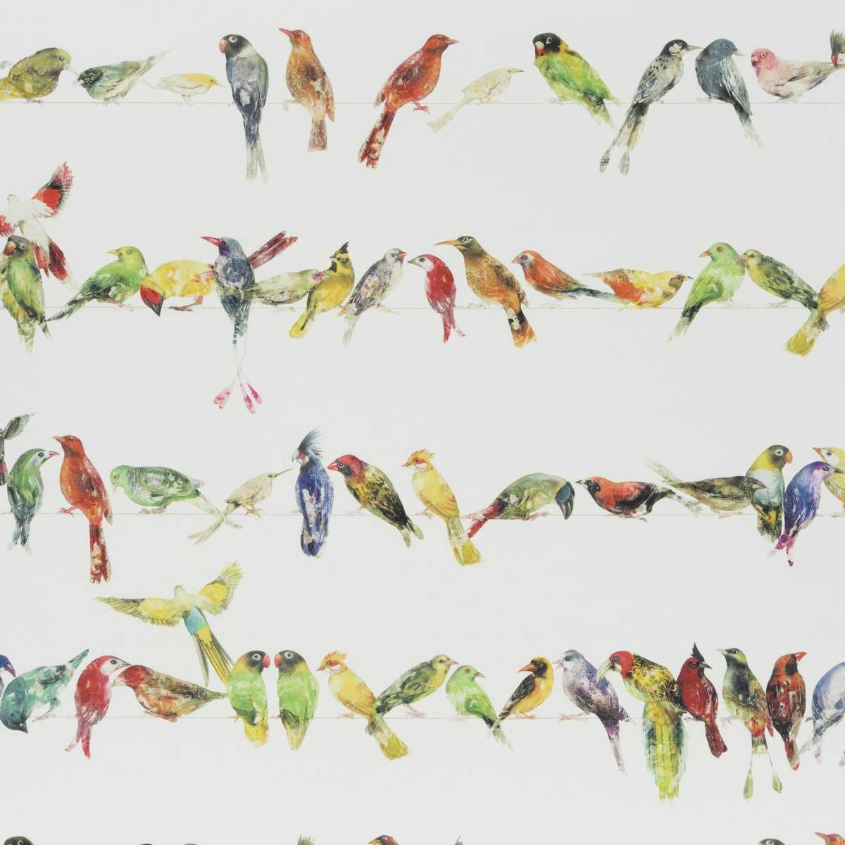 Birdsong Outdoor CH3293-060