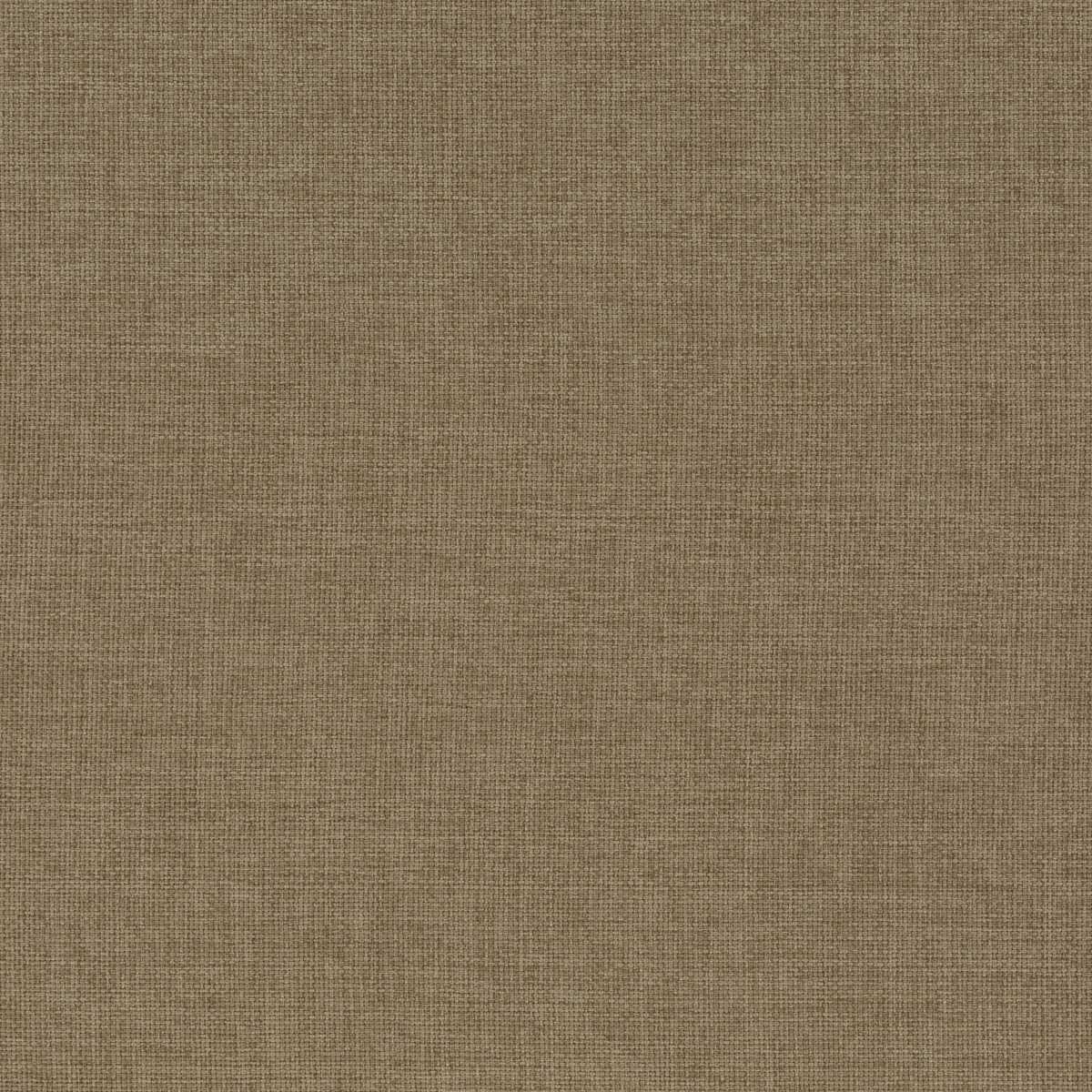 Blaze Of Colour CH3123-020