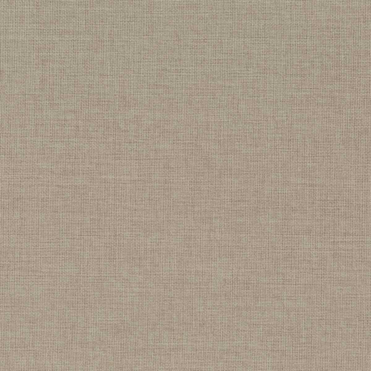 Blaze Of Colour CH3123-076