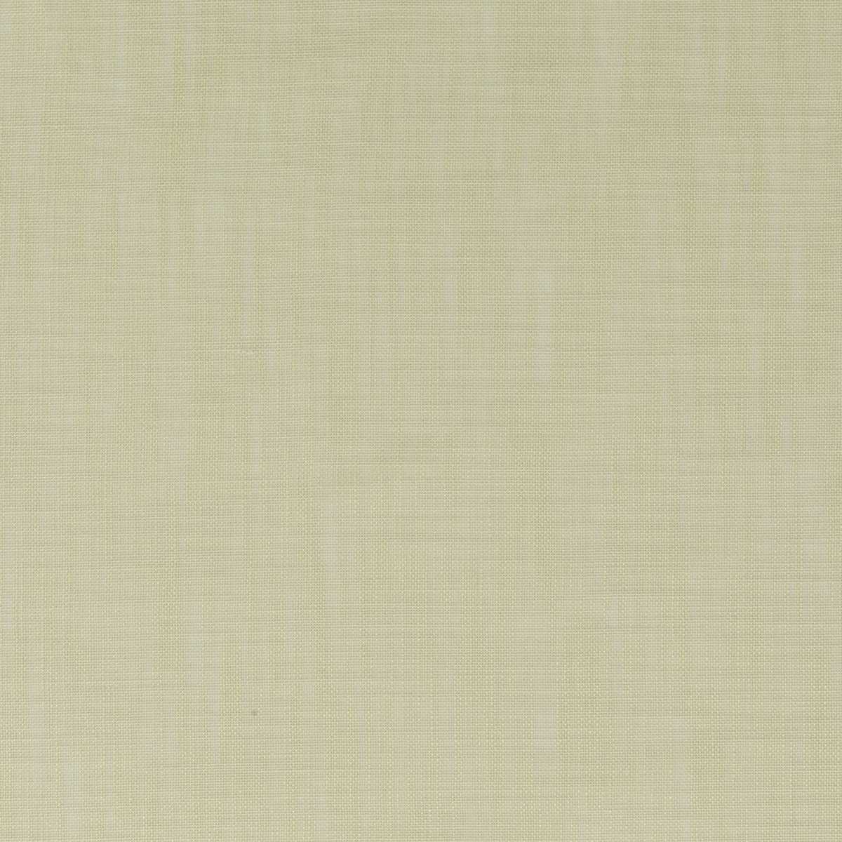Light & Lovely CH3316-030