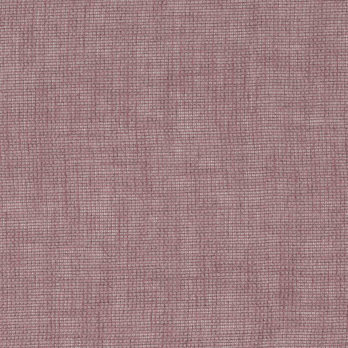 Taste of Honey CH3312-062