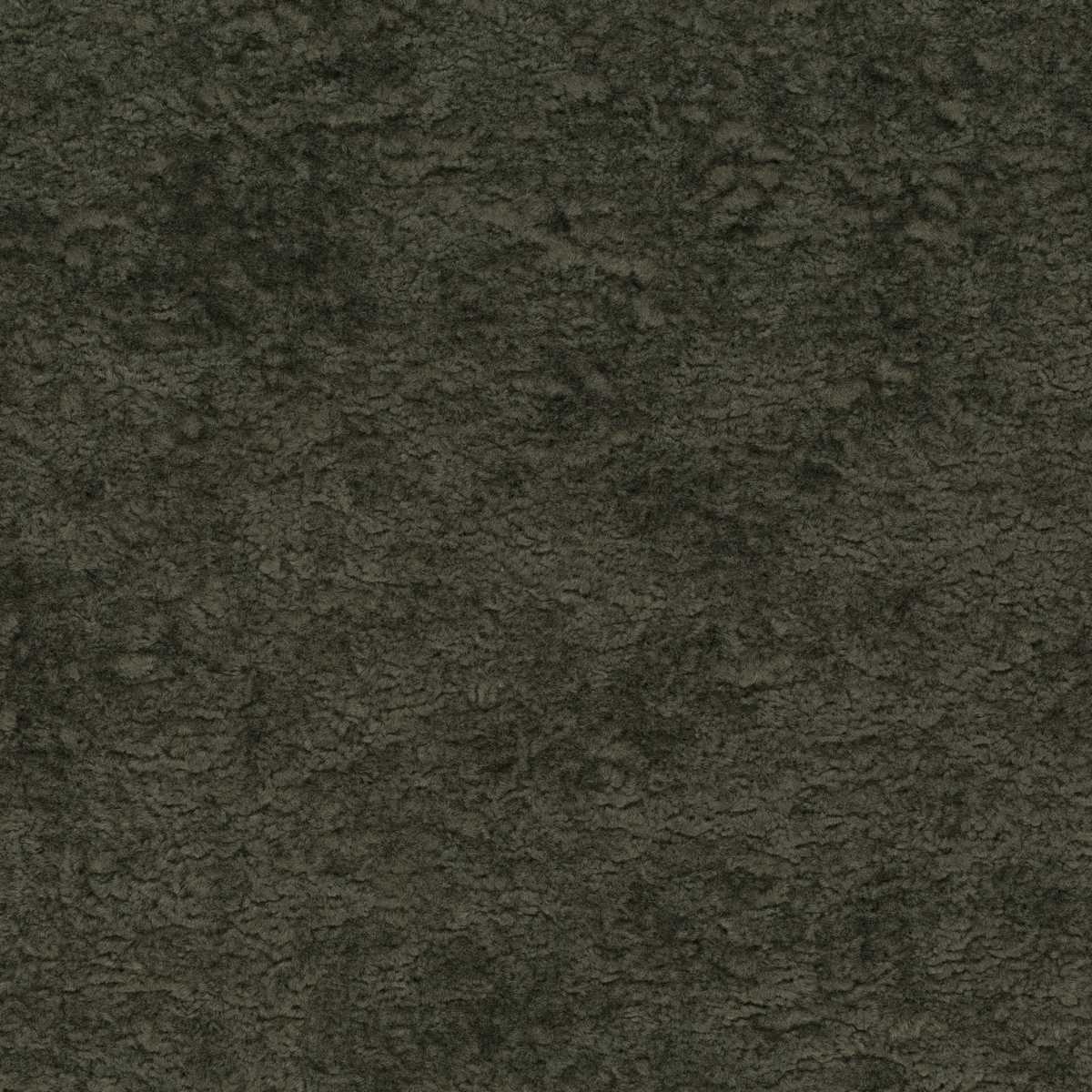 Wild & Pure CH3280-031