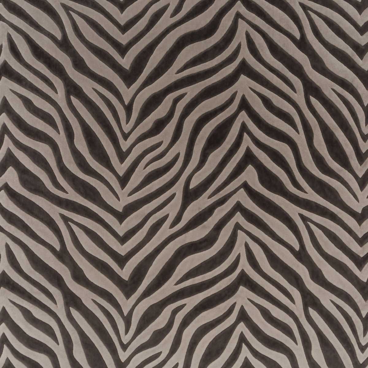Wild Shape CH3260-020