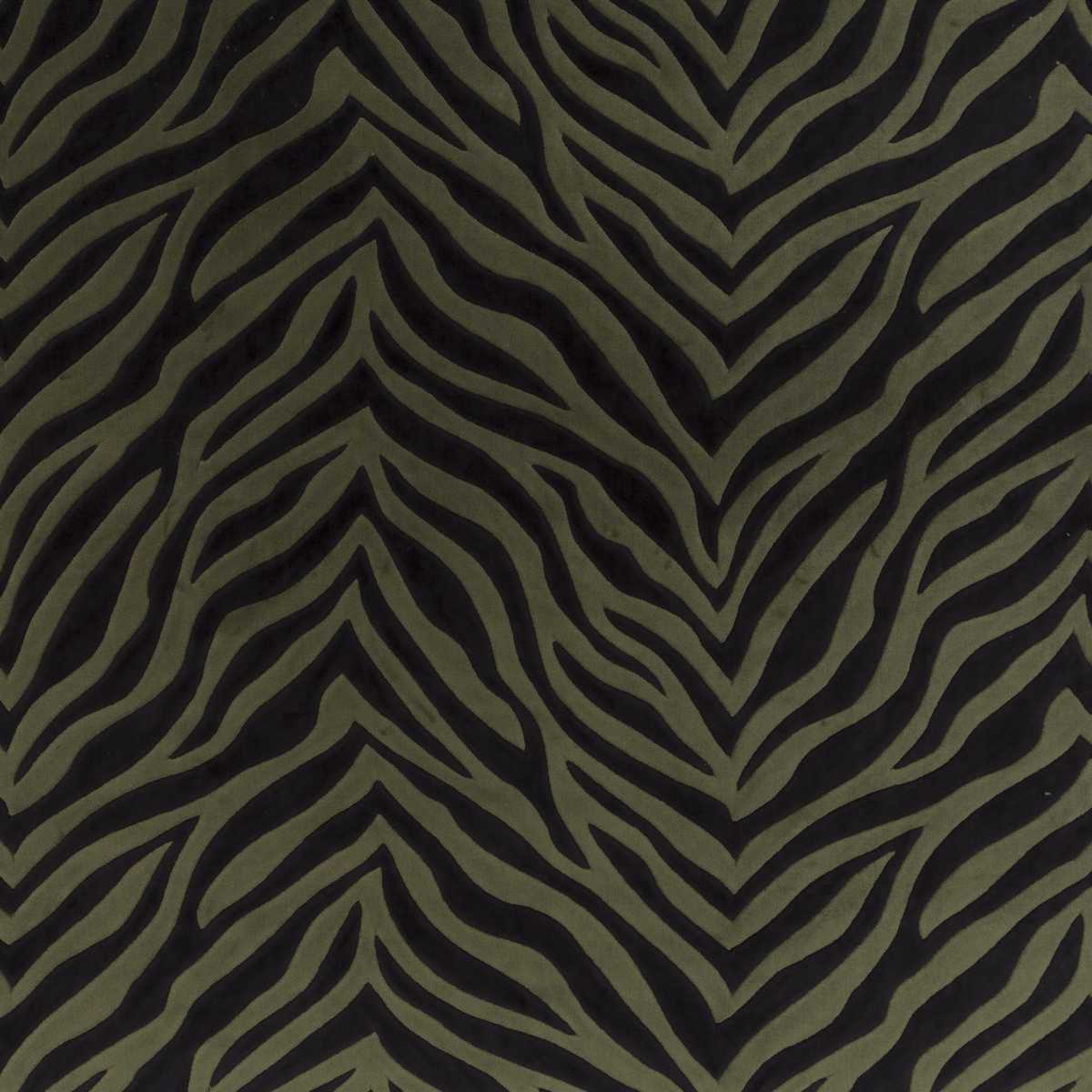Wild Shape CH3260-030