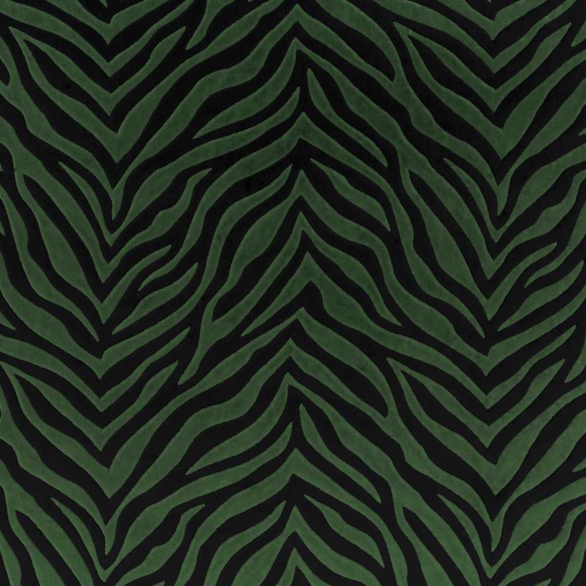Wild Shape CH3260-031