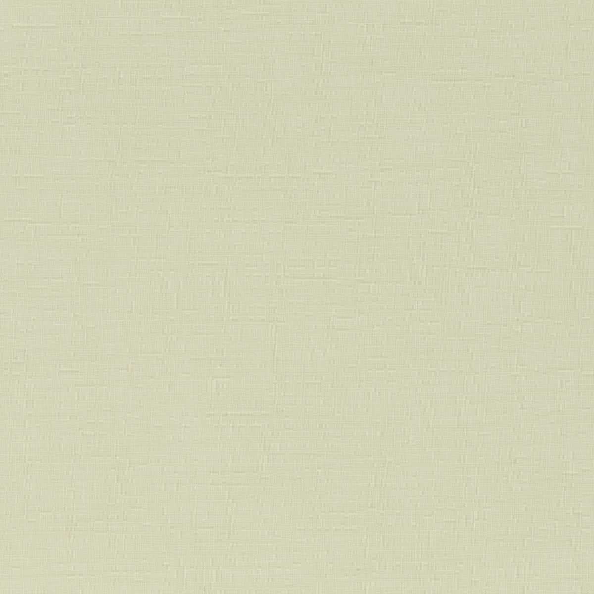 Wispy CH3315-031