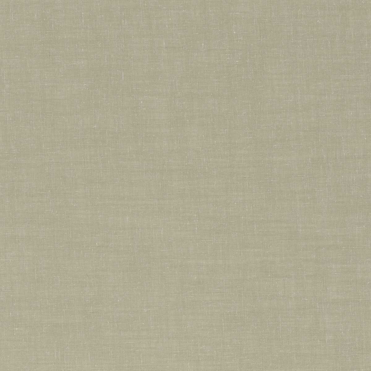 Wispy CH3315-033
