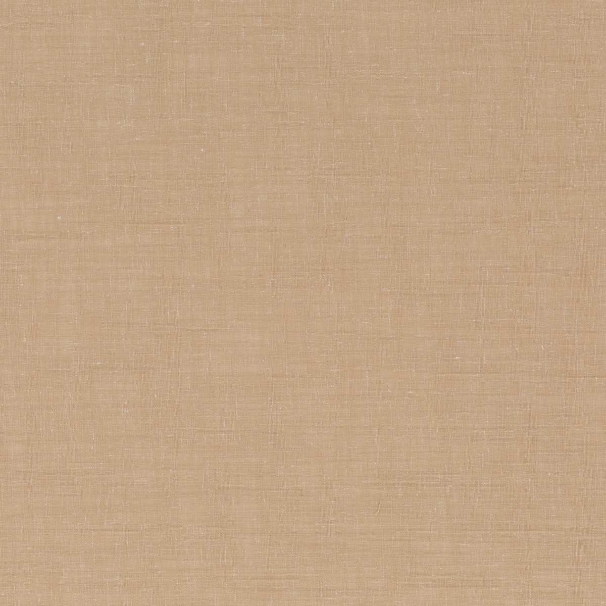 Wispy CH3315-062