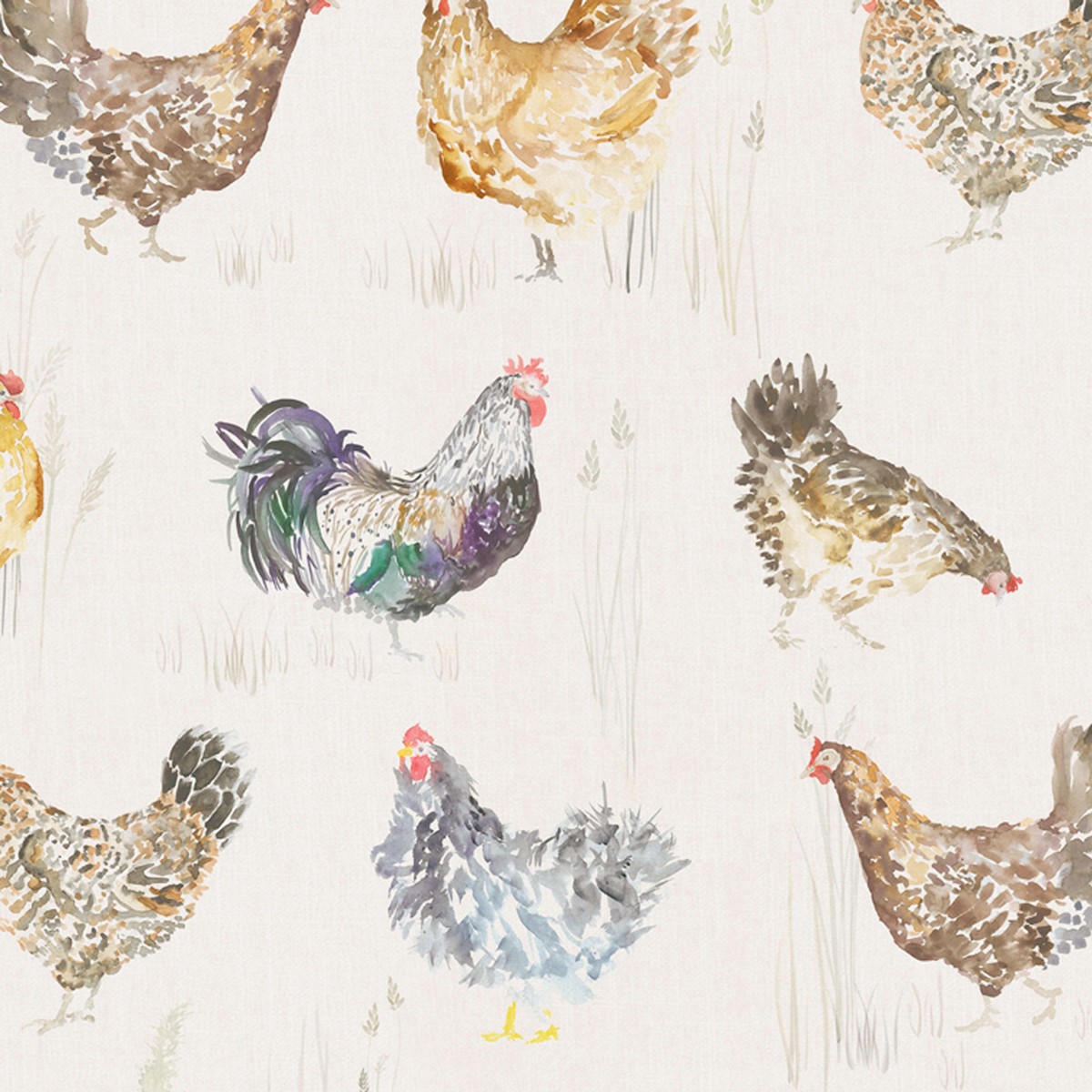 Chook Chook Cream