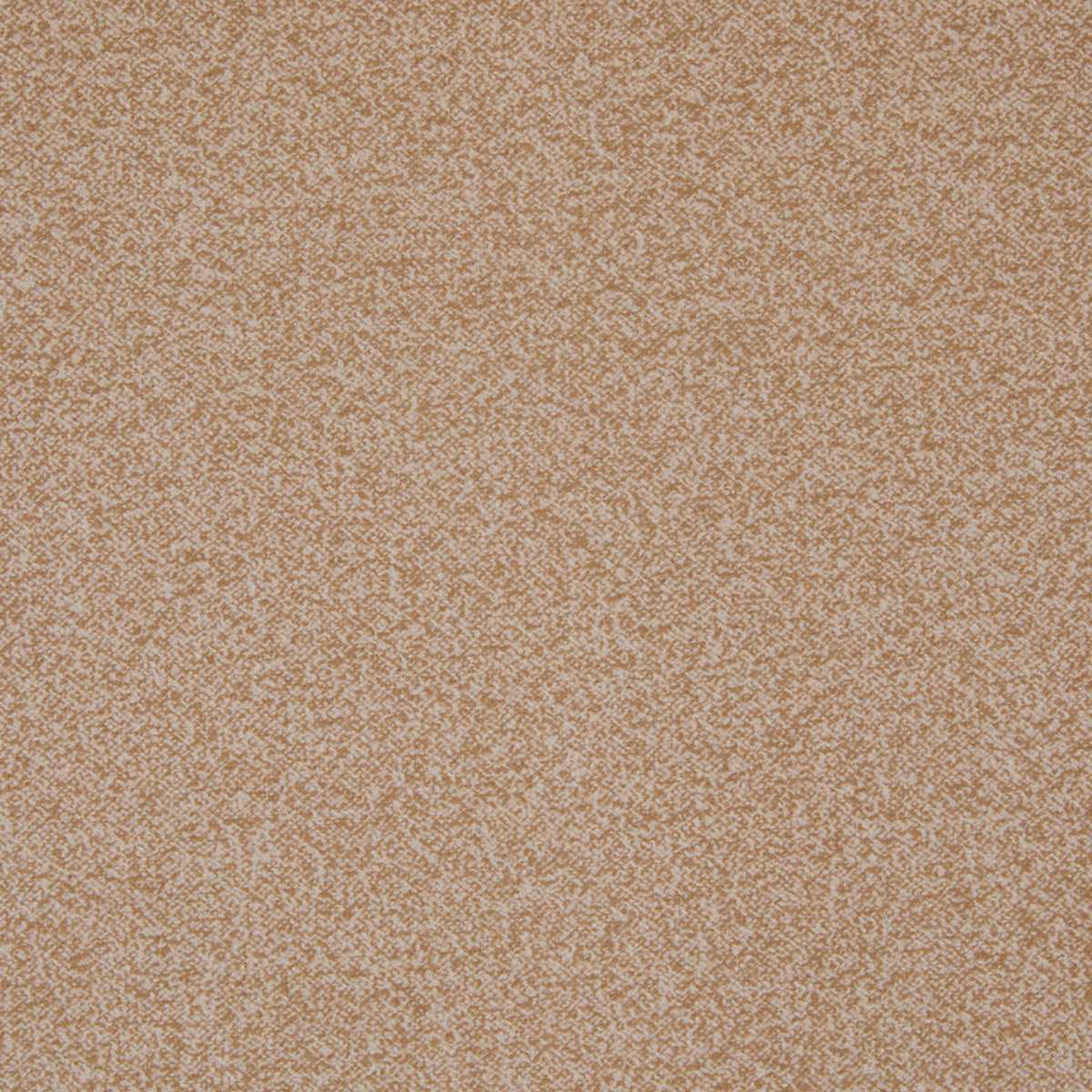 Albora Camel