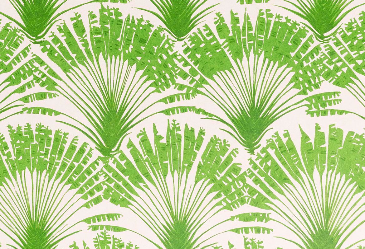 Brisa Grass