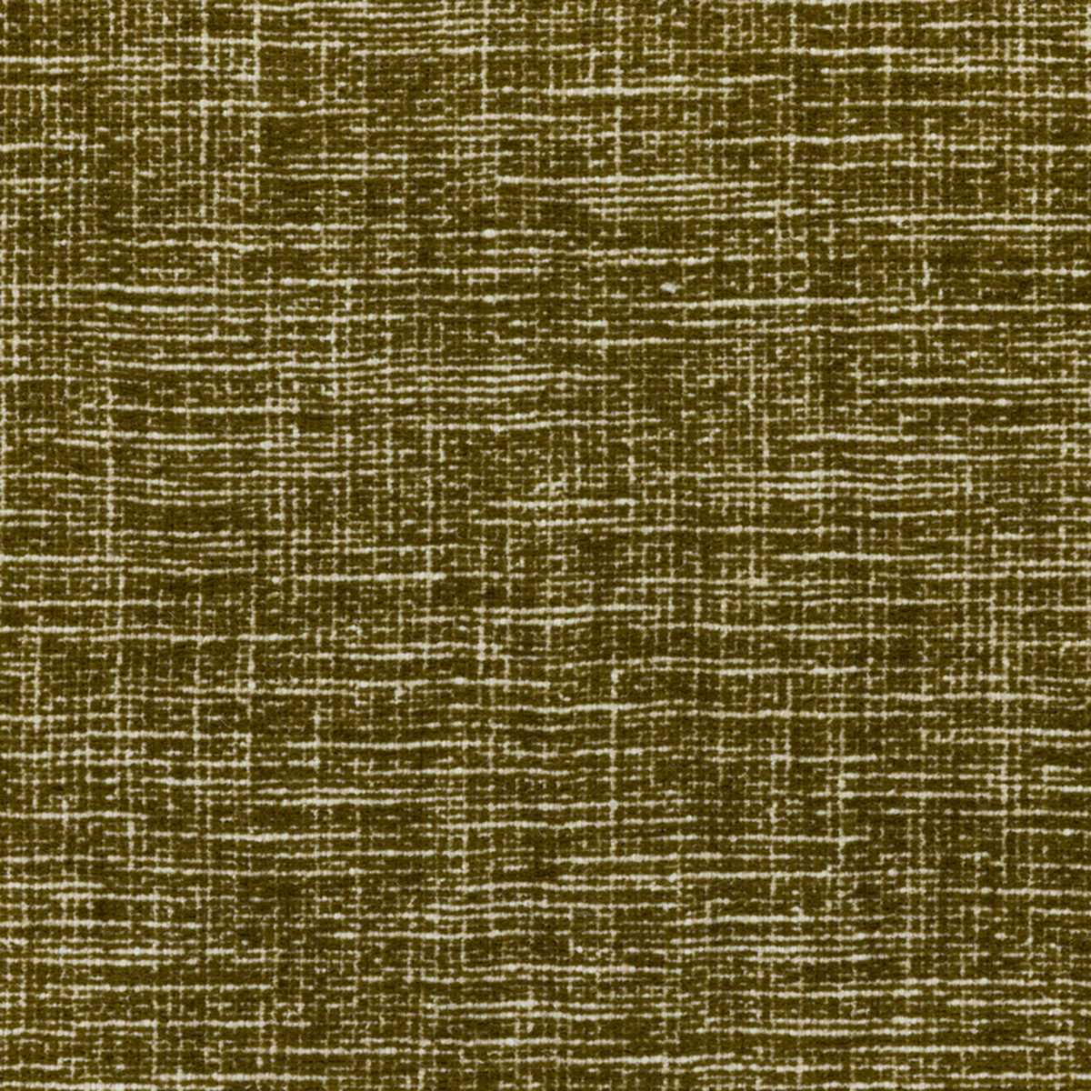 Dodoma Olive