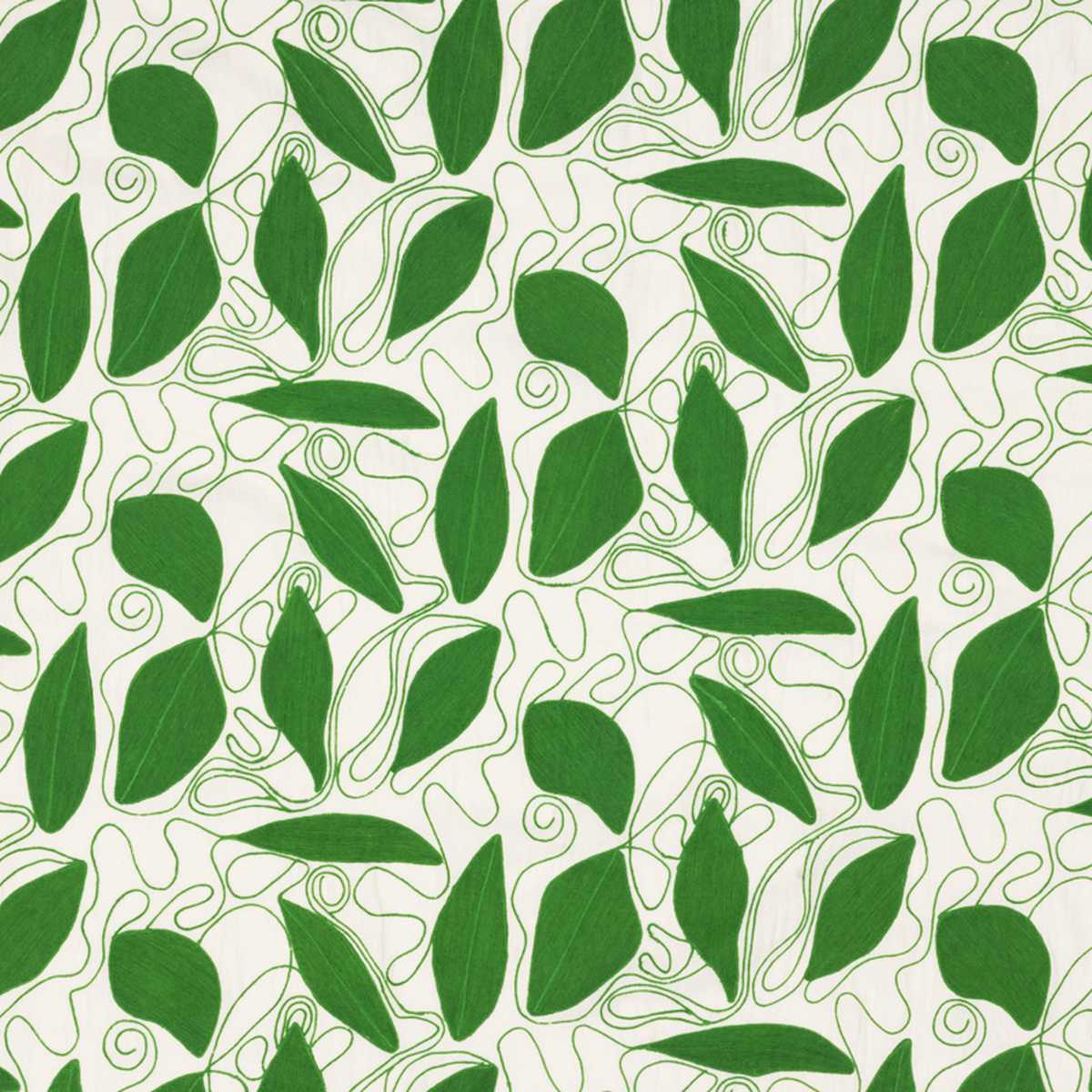 Foliage Indoor Green