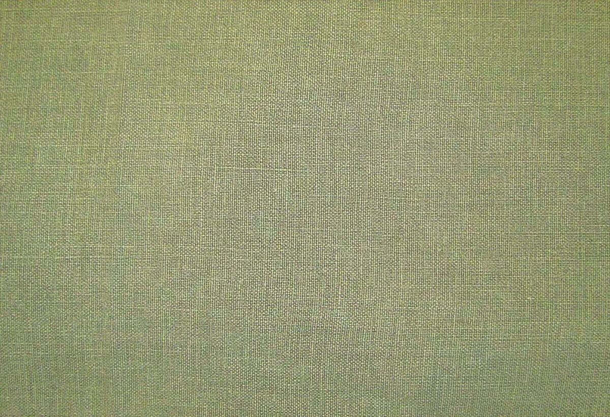 Nopi Olive
