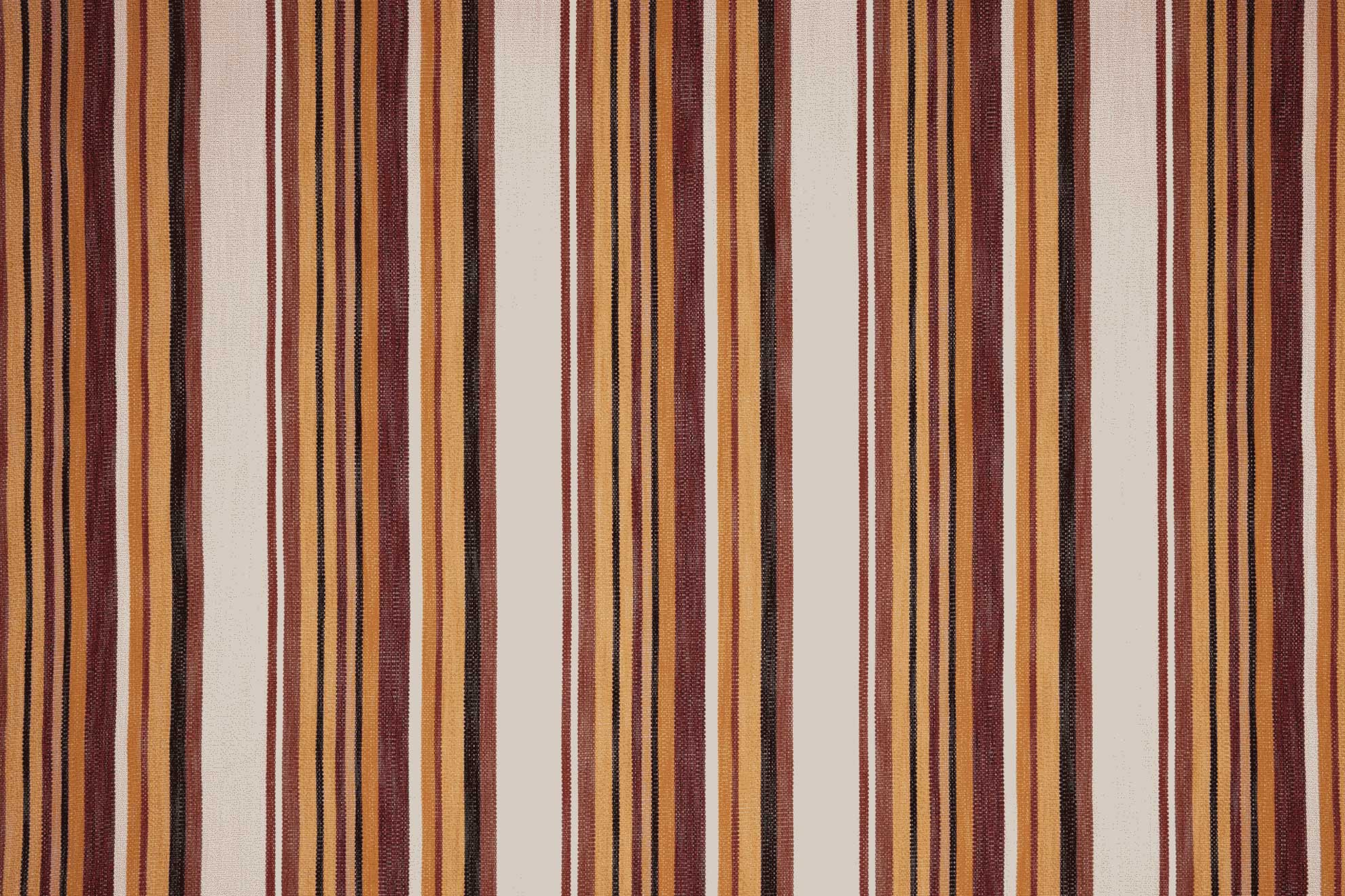 Olas Perennials Aranchio