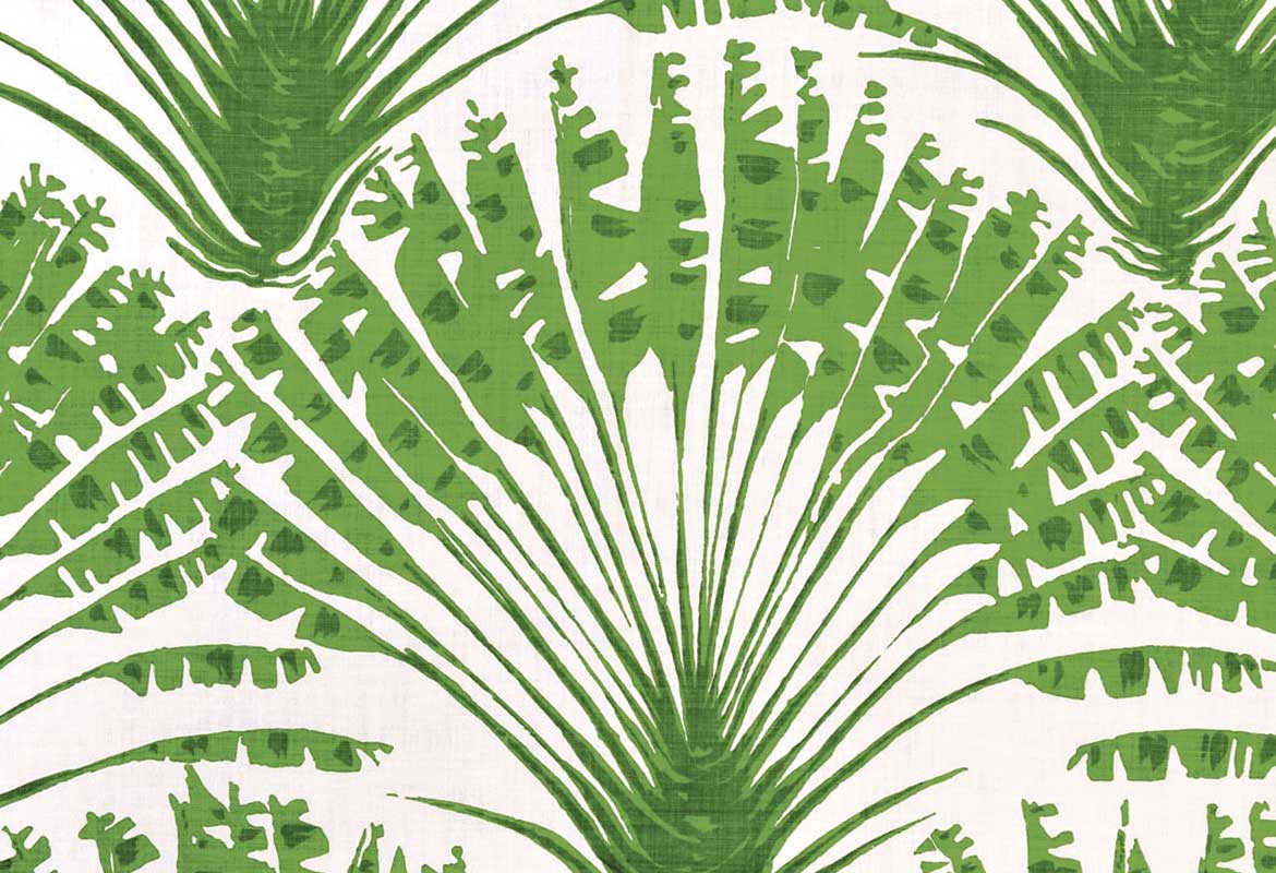 Palma Grass