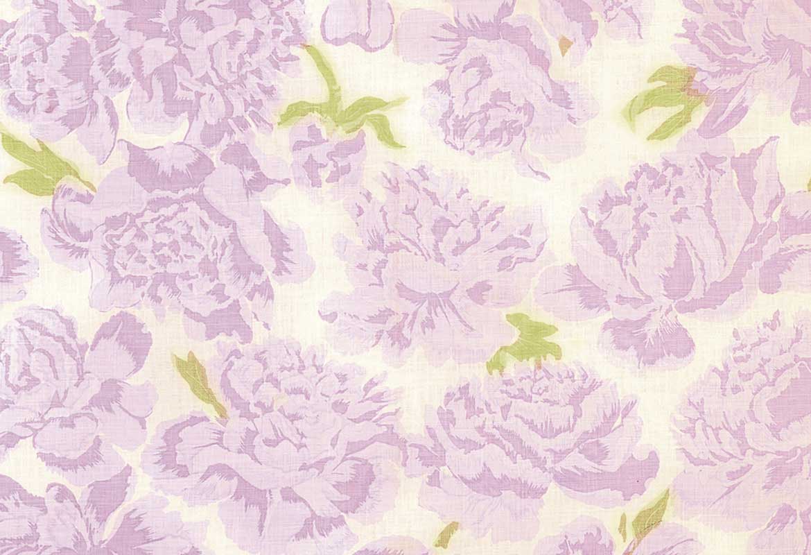Peonies Lilac