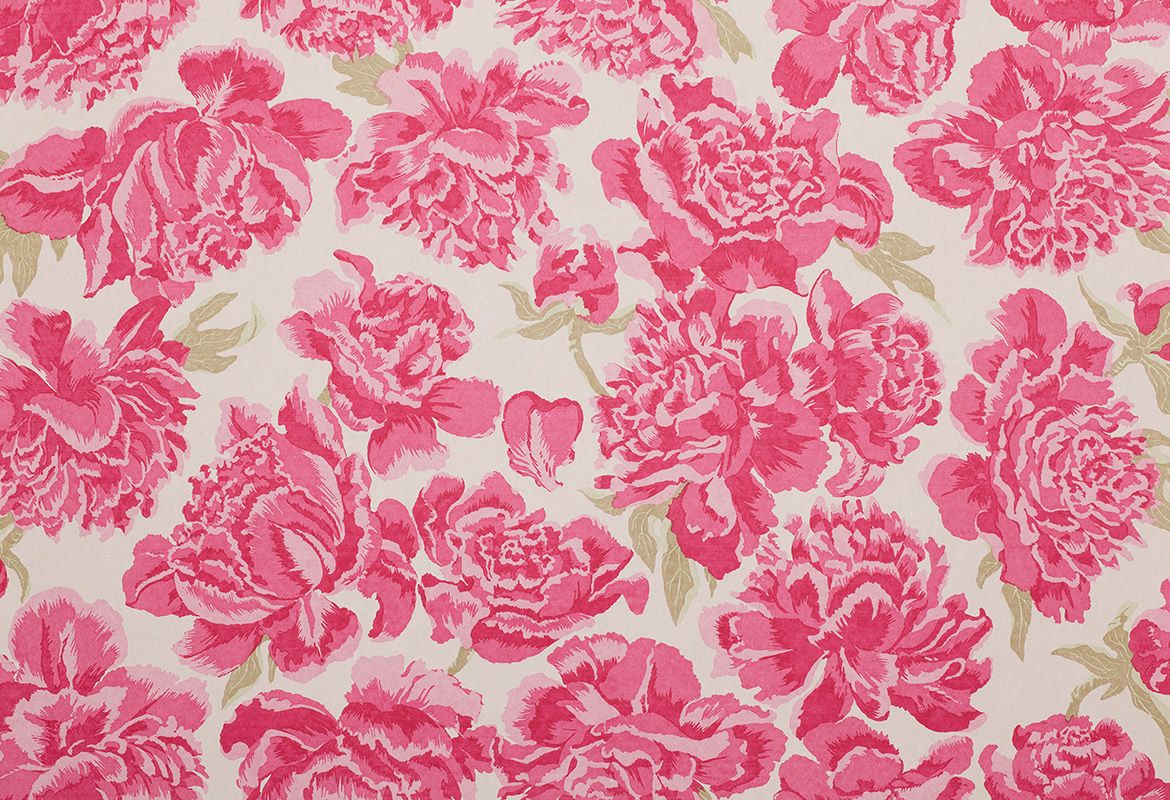Peonies Fuchsia