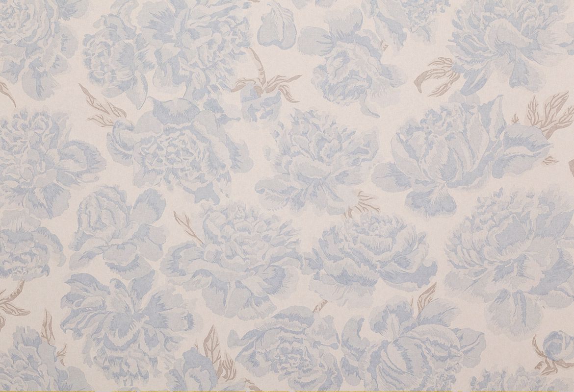 Peonies Sky