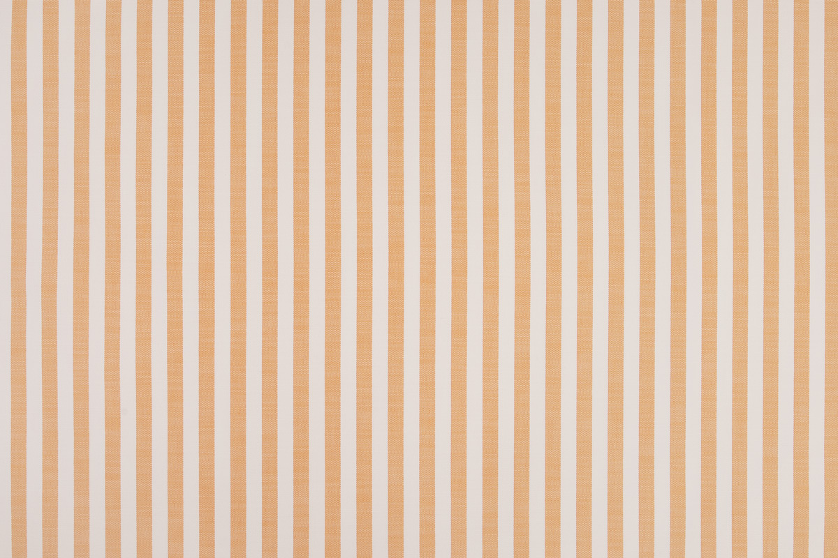 Raya Perennials Arancio