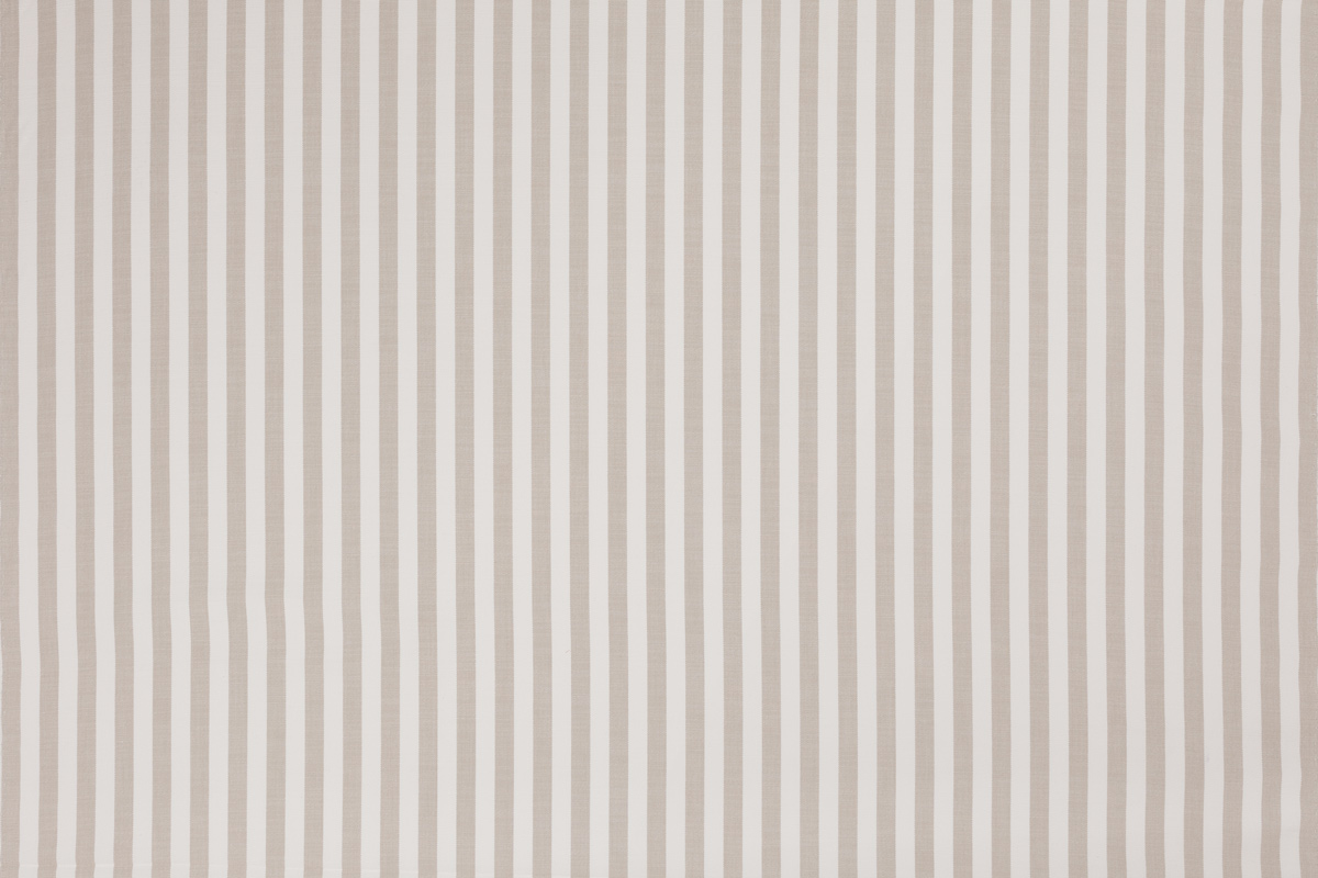 Raya Perennials Latte