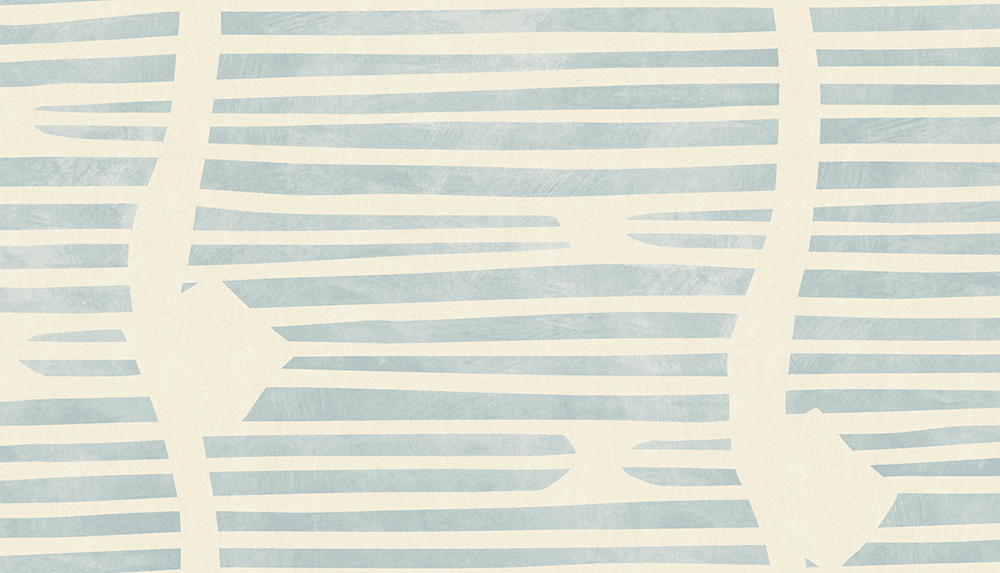 Shore Lines Sky