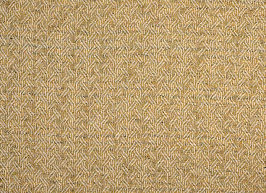 Tangle Lemon
