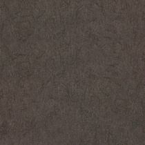 Chroma 12 Truffle