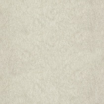 Chroma 17 Linen