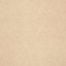 Chroma 21 Raffia
