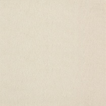 Chroma 23 Champagne