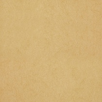 Chroma 28 Custard
