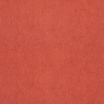 Chroma 40 Grenadine