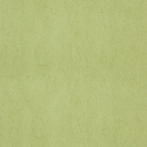 Chroma 58 Lime