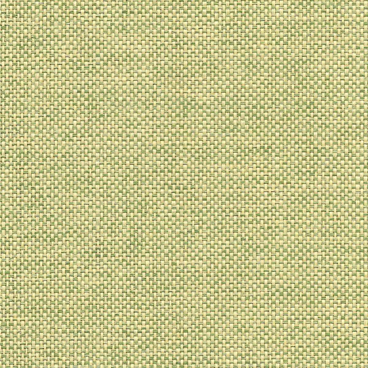 Chromatic Brilliant Bice 3323