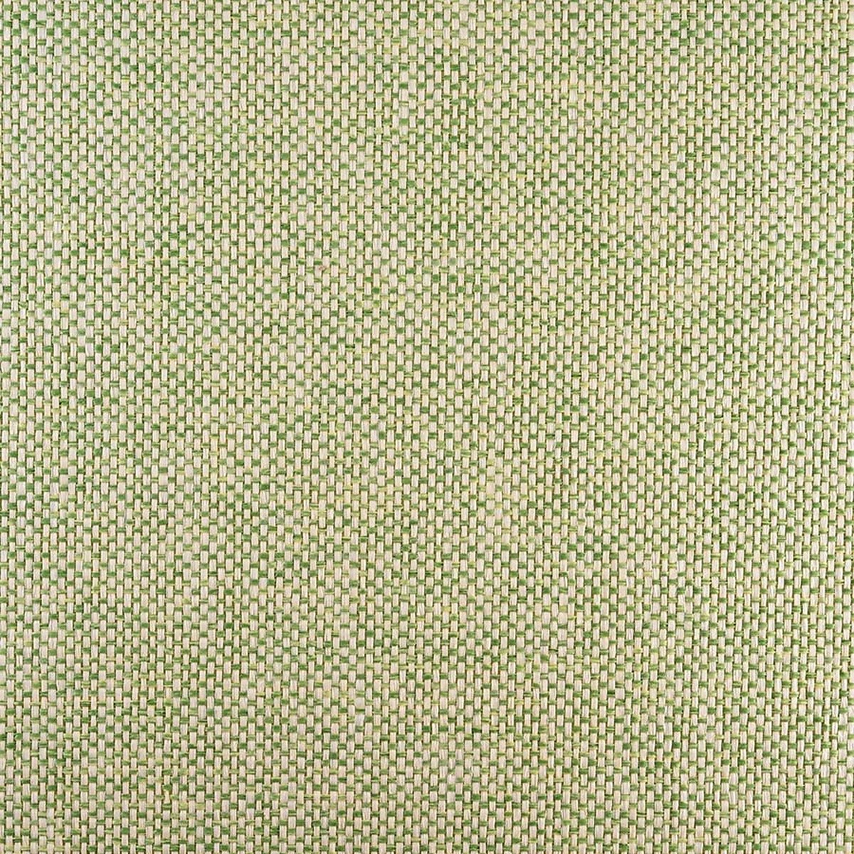 Chromatic Lime Zest 3331