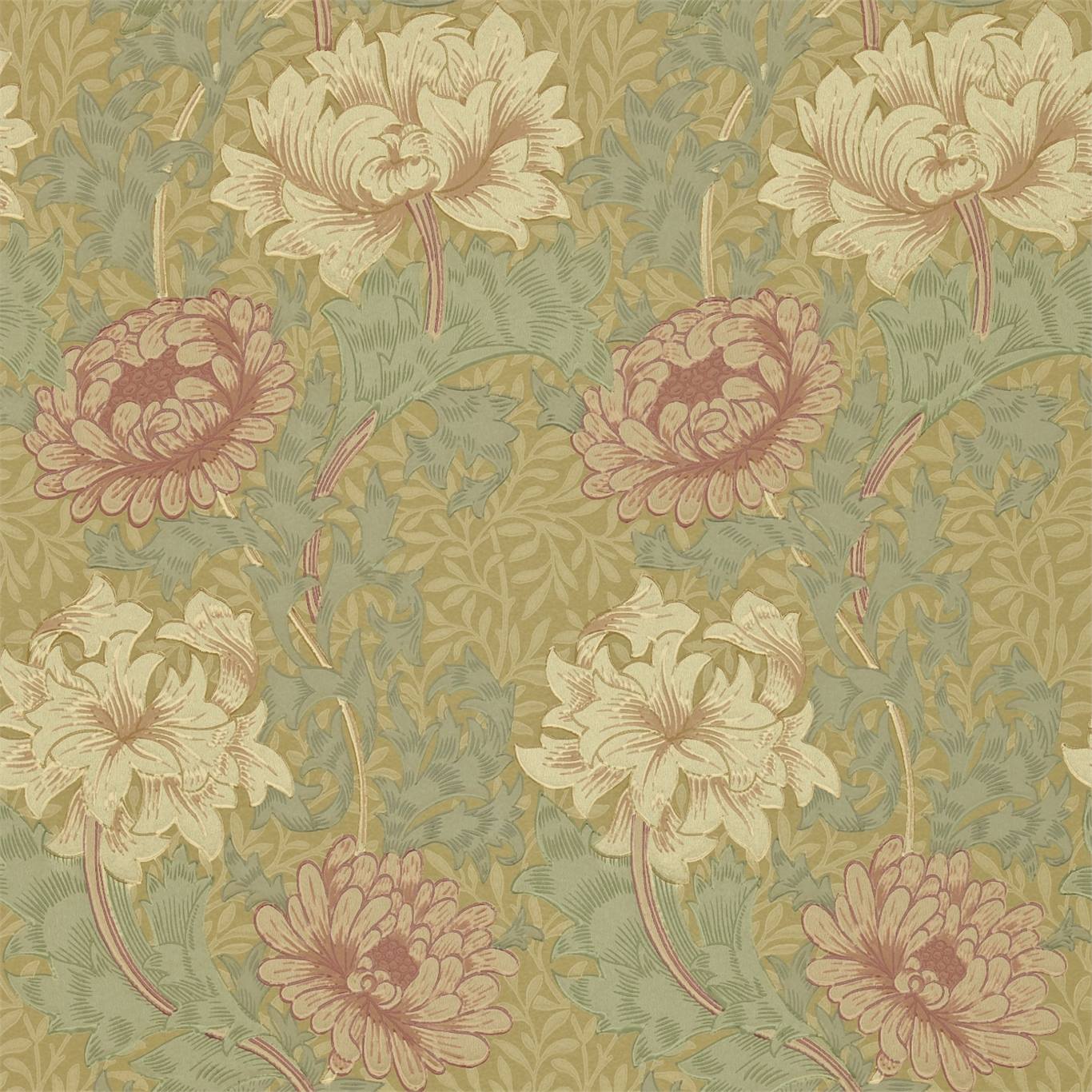 Chrysanthemum 216860
