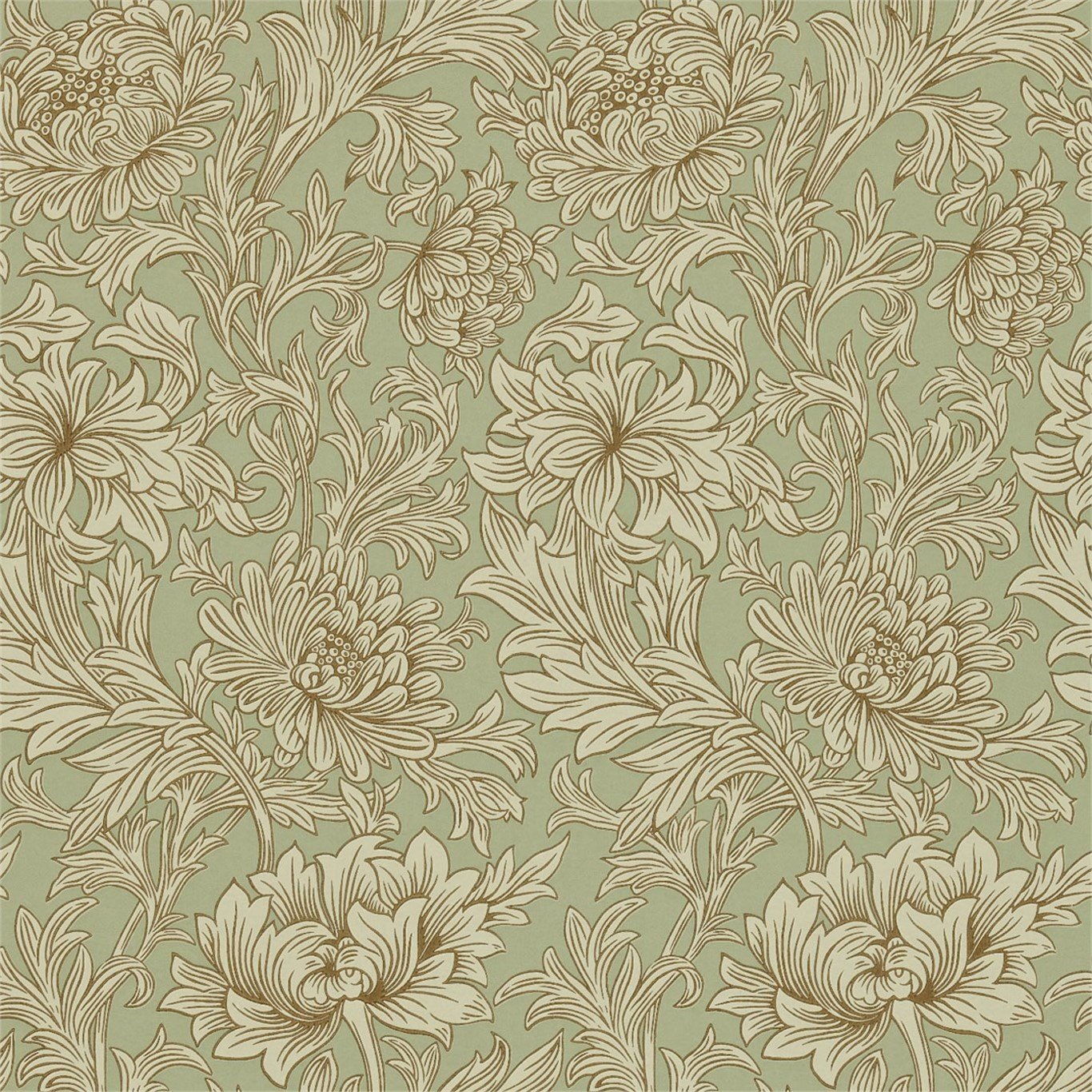 Chrysanthemum Toile 216458