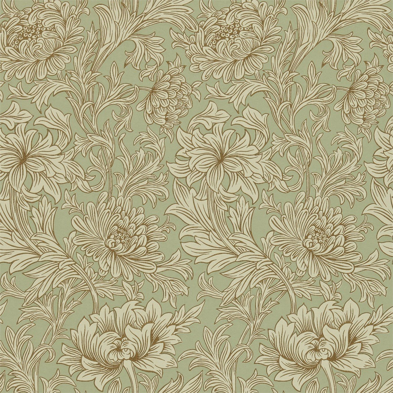 Chrysanthemum Toile DMOWCH104