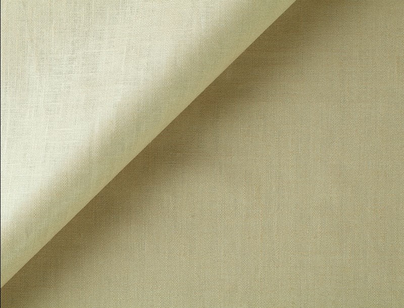 Citra 2065-08