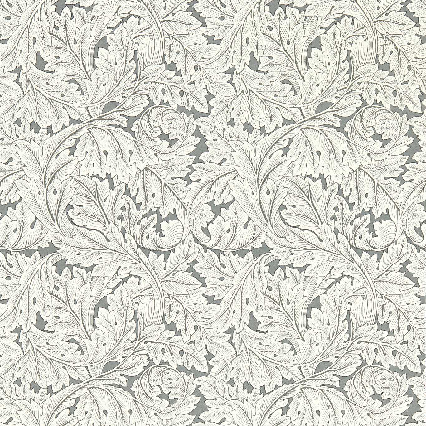 Acanthus W0175-02