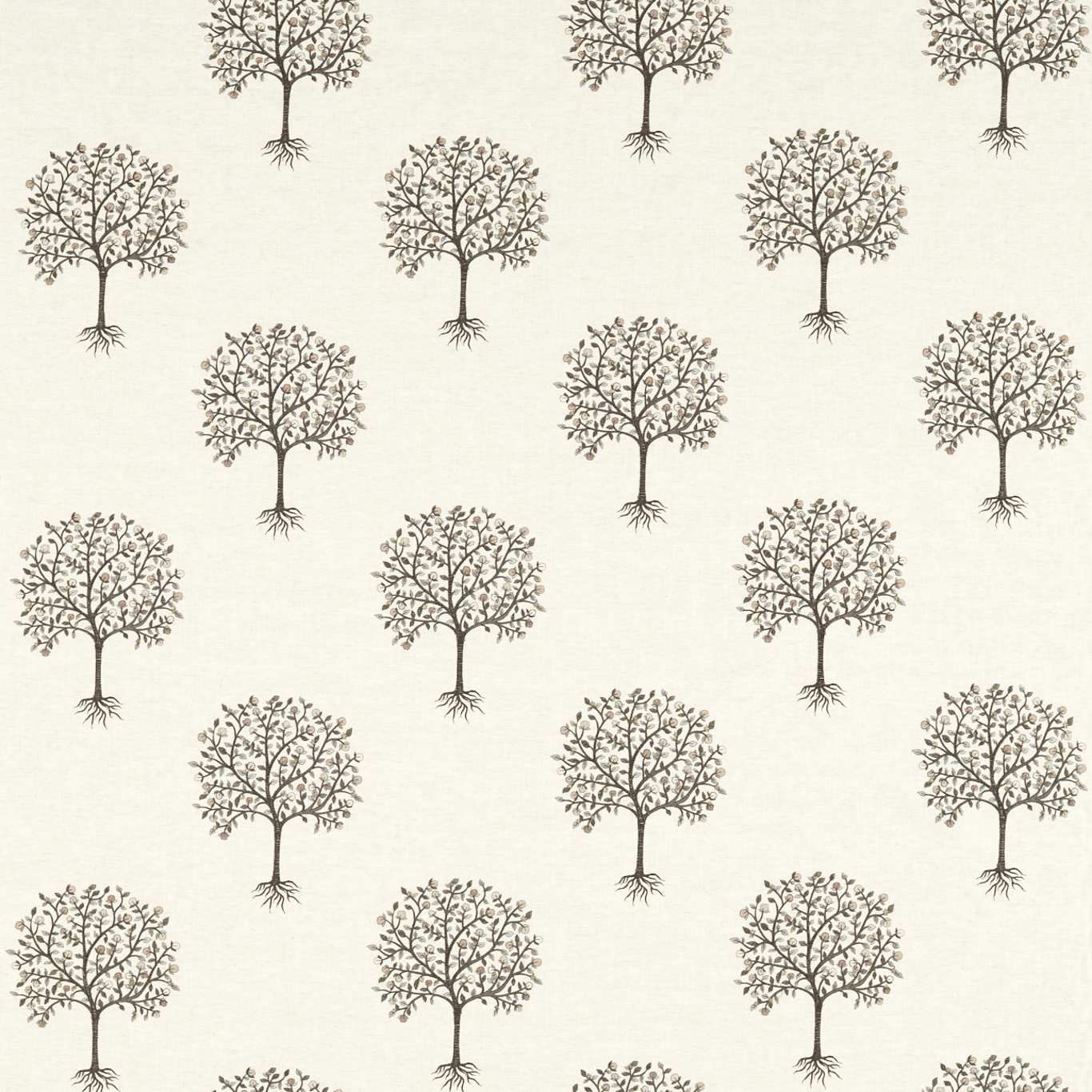 Bergamot F1541-02