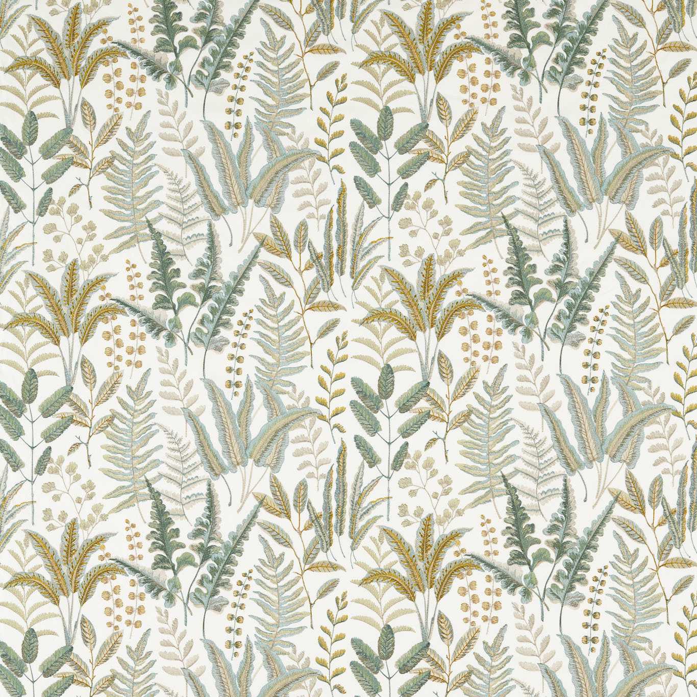 Bracken F1654/02