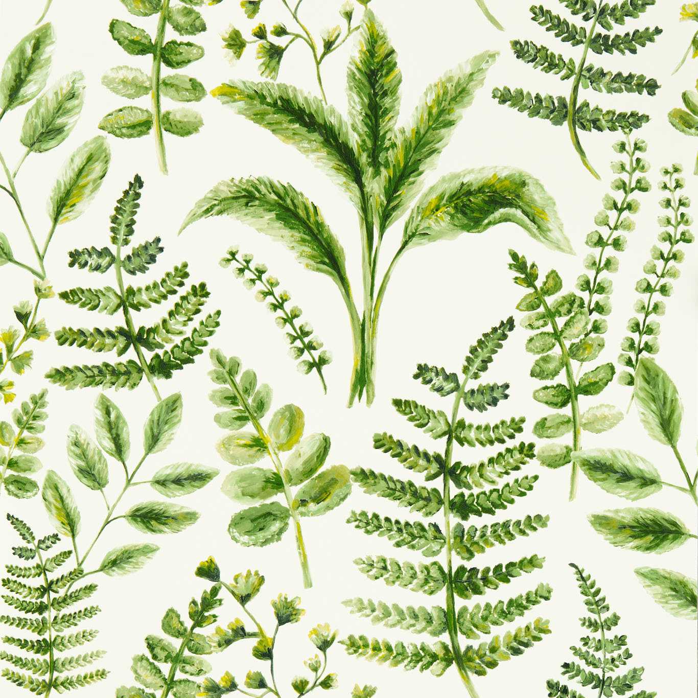 Bracken W0156/02