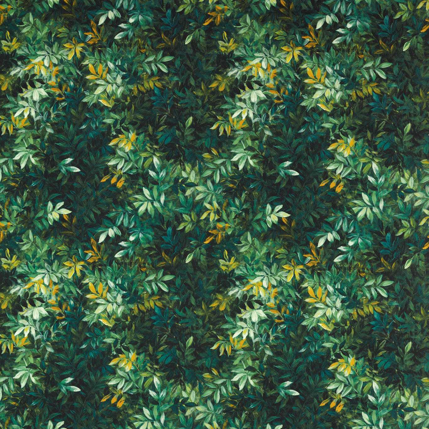 Congo Outdoor F1666-01