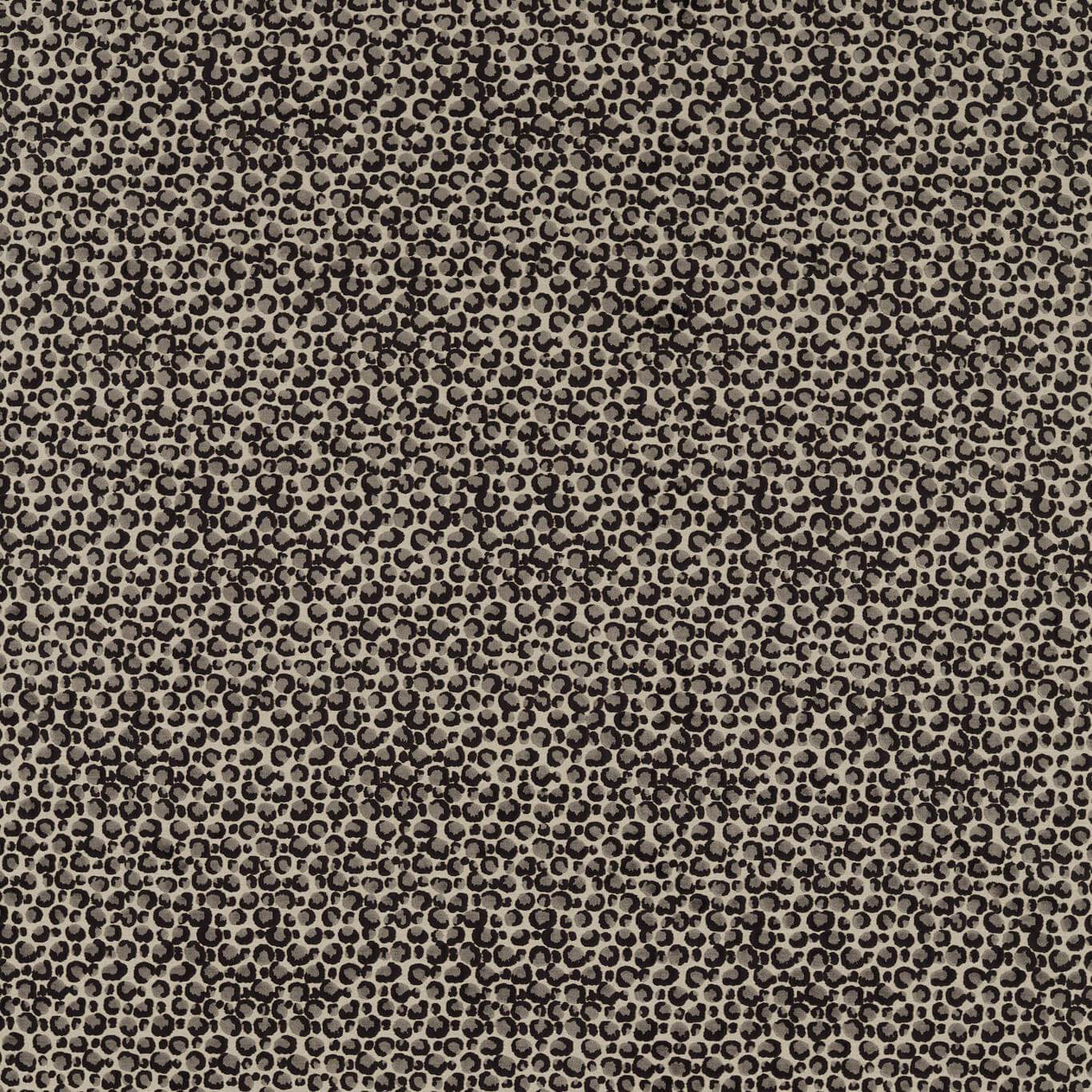 Pokot F1714-04