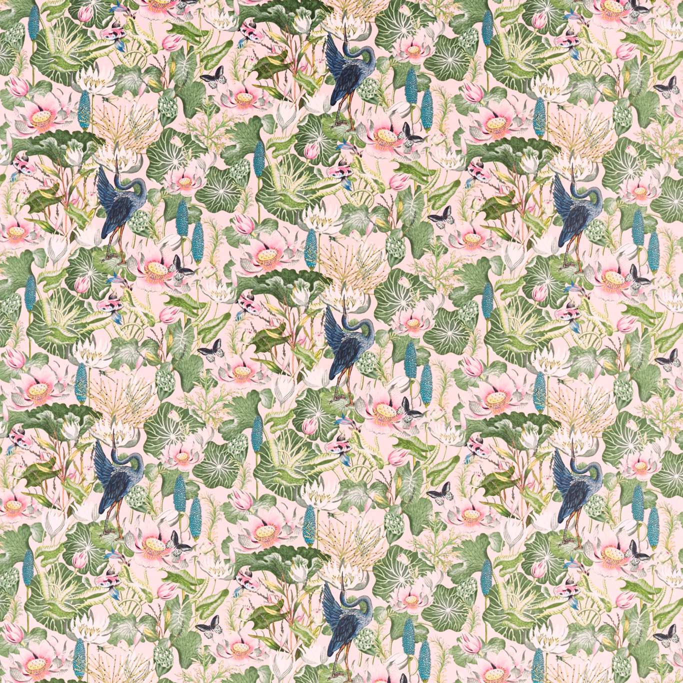 Waterlily F1591-01
