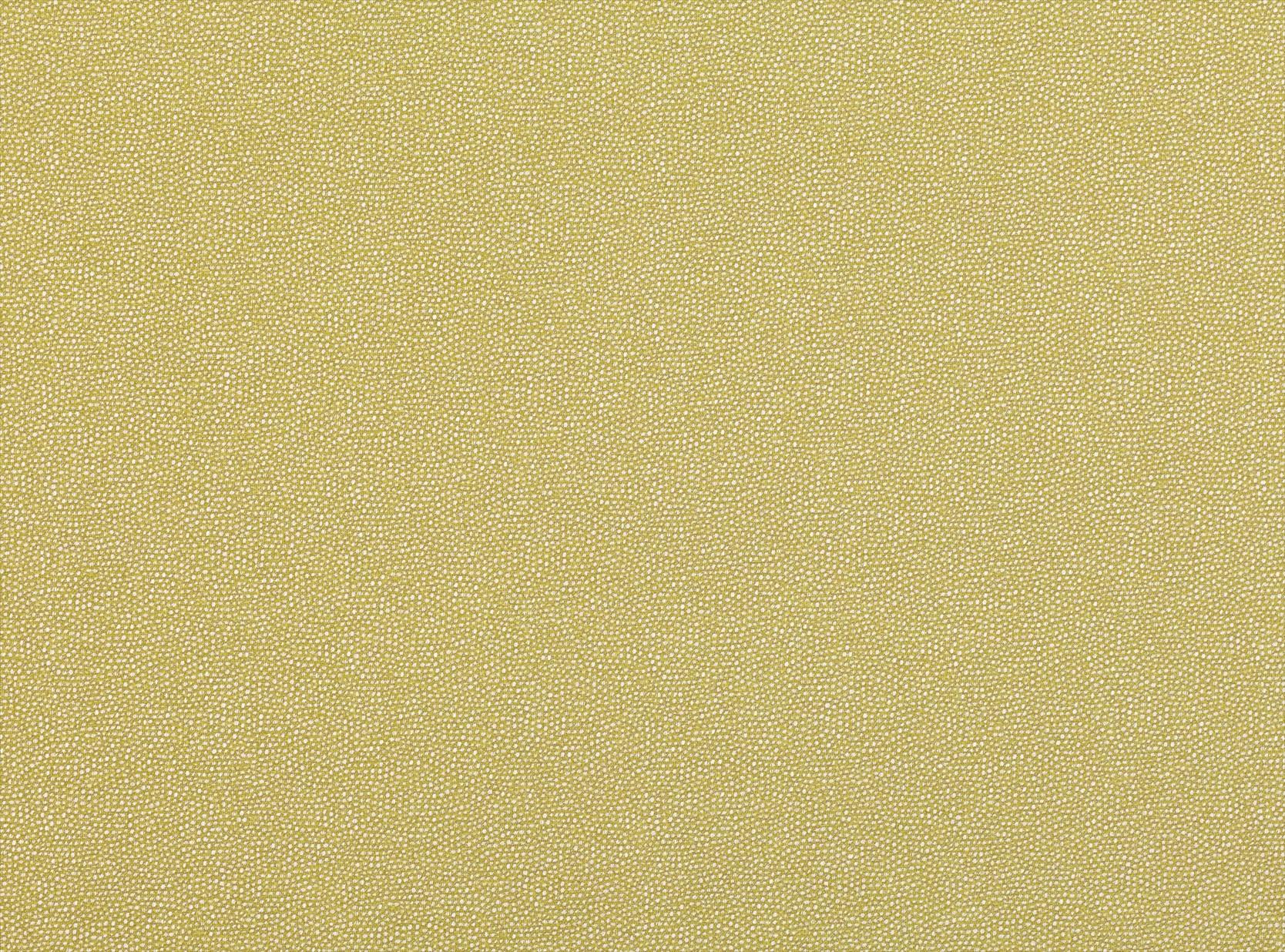 Clio Fenugreek 7801-05