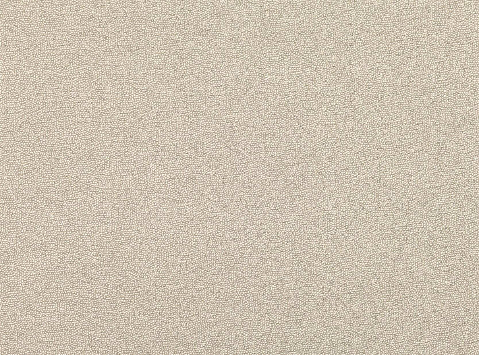 Clio Stone 7801-01