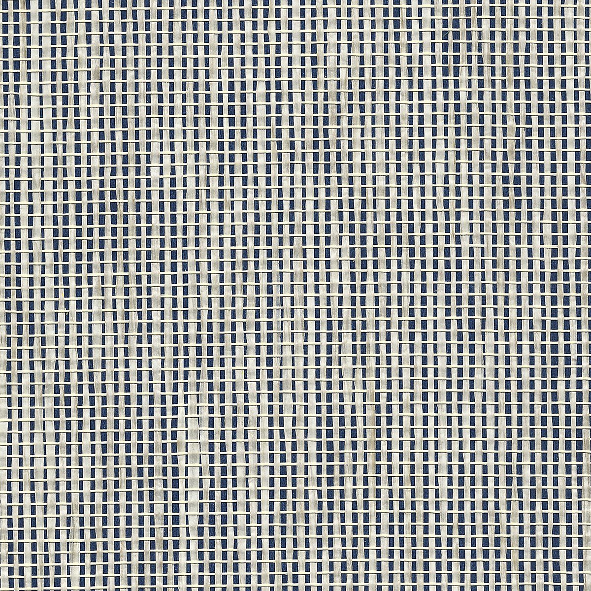 Coastal Weaves Nautical Navy 4389